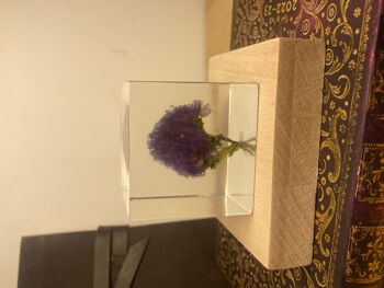 Cube de fleurs | Fleur préservée en résine | Cadeau d'amitié, meilleur ami, cadeau pour elle, cadeau anniversaire, cadeaux de mariage 5