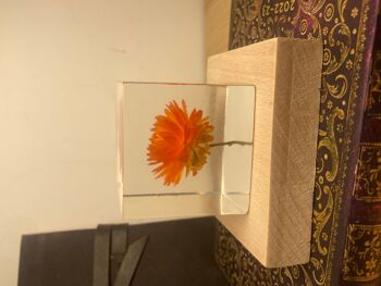 Cube de fleurs | Fleur préservée en résine | Cadeau d'amitié, meilleur ami, cadeau pour elle, cadeau anniversaire, cadeaux de mariage 7