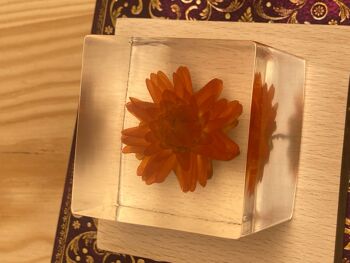 Cube de fleurs | Fleur préservée en résine | Cadeau d'amitié, meilleur ami, cadeau pour elle, cadeau anniversaire, cadeaux de mariage 8
