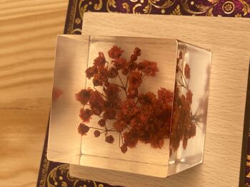 Cube de fleurs | Fleur préservée en résine | Cadeau d'amitié, meilleur ami, cadeau pour elle, cadeau anniversaire, cadeaux de mariage 9