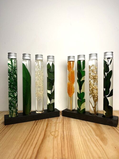 4 Plantes immergées, Herbariums en bouteille, Plantes en flacons, Idée cadeau originale