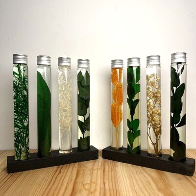 4 Submerged plants, Herbariums in bottles, Plants in flasks, Original gift idea