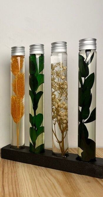 4 Plantes immergées, Herbariums en bouteille, Plantes en flacons, Idée cadeau originale 2