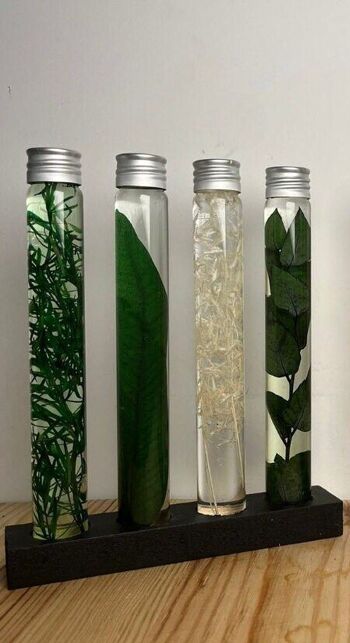 4 Plantes immergées, Herbariums en bouteille, Plantes en flacons, Idée cadeau originale 3
