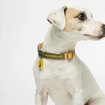 Collar amarillo para perros Sonia