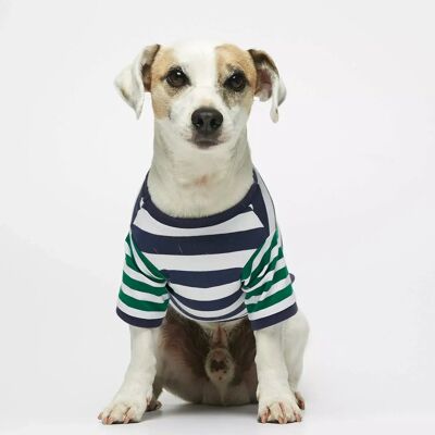 Camiseta Ellsworth de algodón orgánico a rayas azul marino y verde
