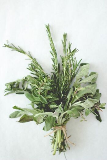 BISCOTTAOU, amalgame multi graines & herbes du maquis - alternative aux gressins 7