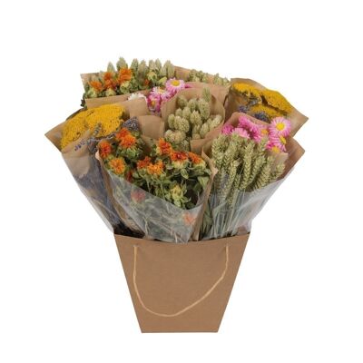 Fiori Secchi Mono mix - Olandese