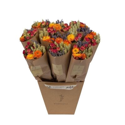 Bouquets - Fleurs séchées - Market More - Orange