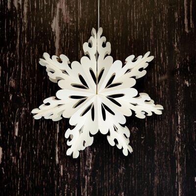 Pictor Snowflake Wall Decoration - 23cm