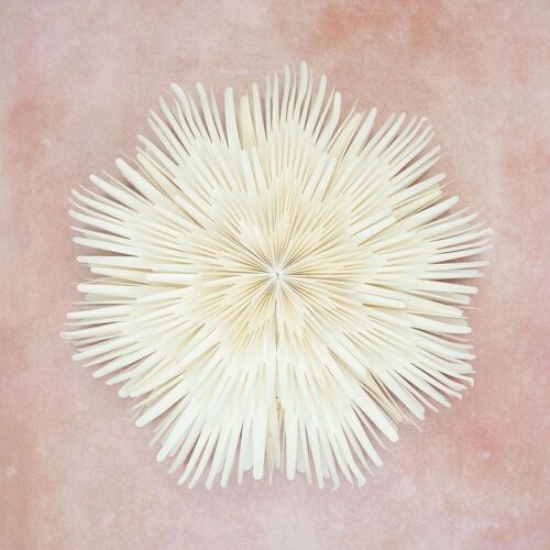 Giant Sunburst Paper Wall Decoration - 60cm