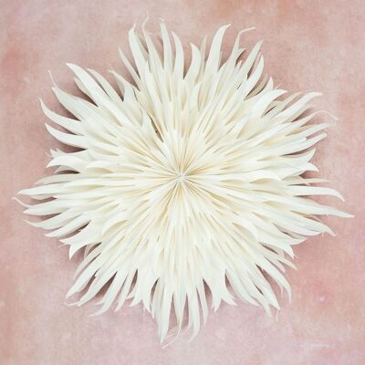 Giant Peony Paper Wall Decoration - 70cm
