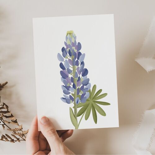 Postkarte Blume Lupinen - Botanische Grußkarte Lupinen Island - Iceland Lupines Flower Card