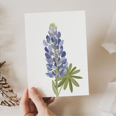 Postcard Flower Lupins - Botanical Greeting Card Lupines Iceland - Iceland Lupines Flower Card