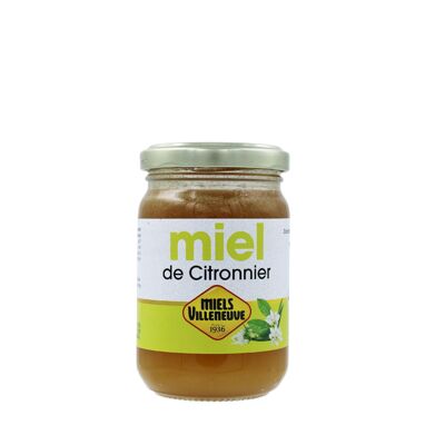 Miel de Citronnier d'Espagne 250g