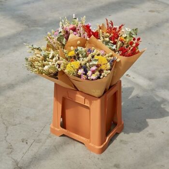 Fleurs séchées - Bouquet Classique - Orange 3