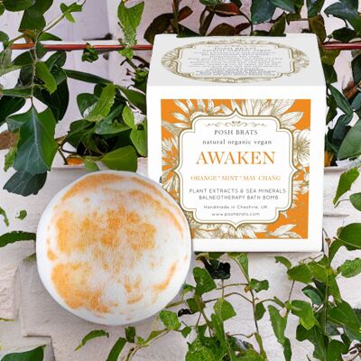 Awaken Citrus Mint Sea Minerals Aromatherapie-Badebombe VEGAN