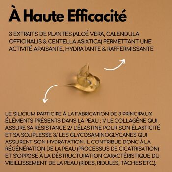 Kotor® Gel Silicium - Gel Cicatrisant - Made in Provence - 100ml 4
