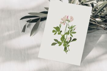Carte postale Bouquet de trèfle sauvage rose avec coeur, certifié FSC 2
