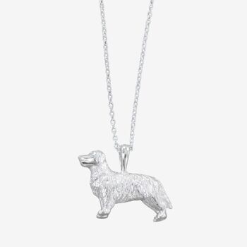 Collier Retriever Argent 1