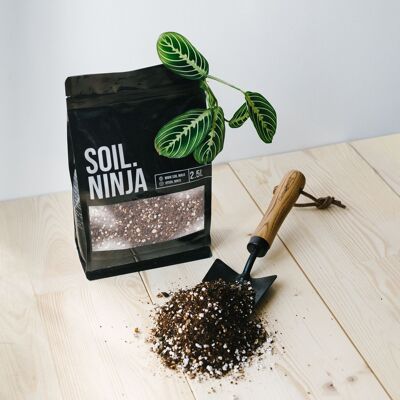 Calathea and Maranta Houseplant Soil - Pack of 8 - 5L Bags