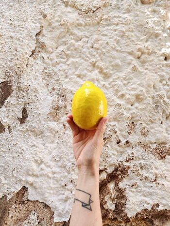 citron en céramique 6