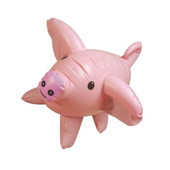 JEU DE COCHONS GEANTS 6