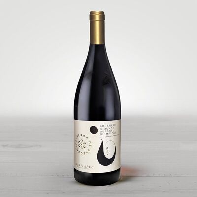 Wine D.O. Monterrei Tinto Mencía 2020 MAGNUM