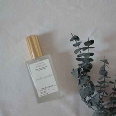 Parfum/ spray d'ambiance Foret enchantée (60ml)