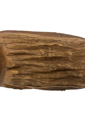 Poisson sculpté à la main en bois flotté - S (1107) 4