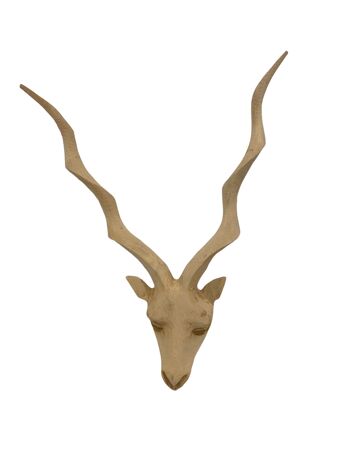 Swazi sculpté à la main Buck Head Kudu - (44) med