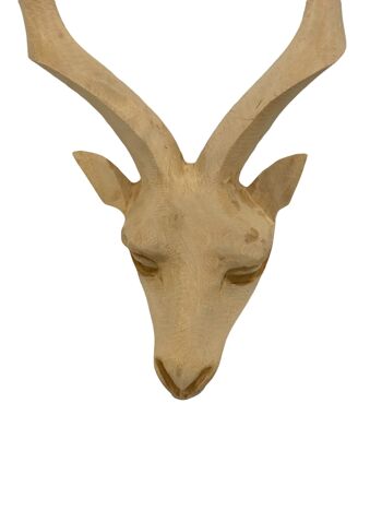Swazi sculpté à la main Buck Head Kudu - (45) Grand 2