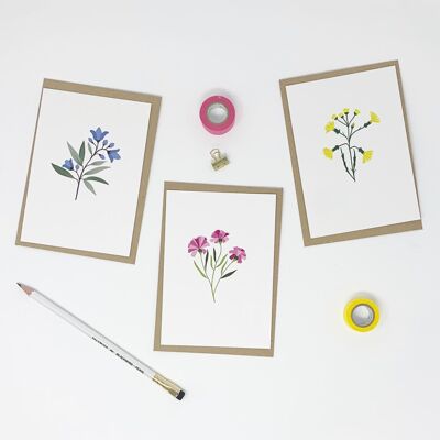 Lot de 6 cartes fleur illustrées