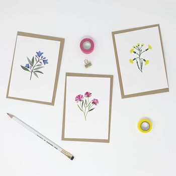 Lot de 6 cartes fleur illustrées 1