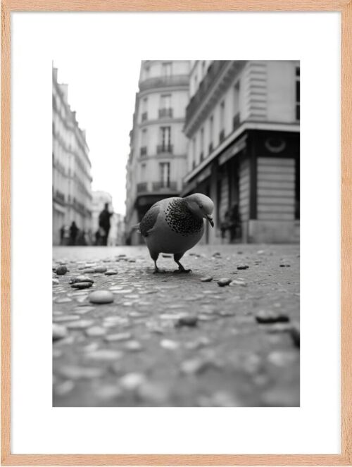 Affiche - Old Paris 06 (30x40 cm) - Hartman AI