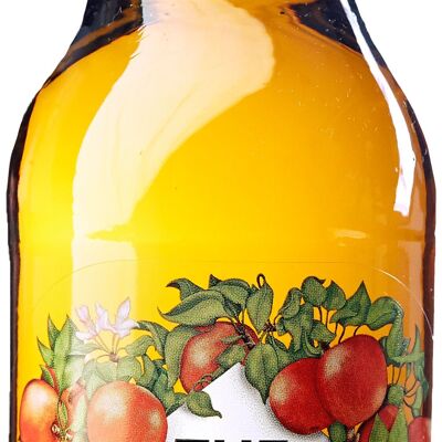 LE BON CIDRE POMME 33 CL COFFRET 12 BOT