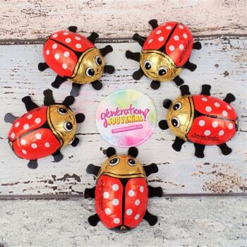 Coccinelle en chocolat - Lot de 5 2