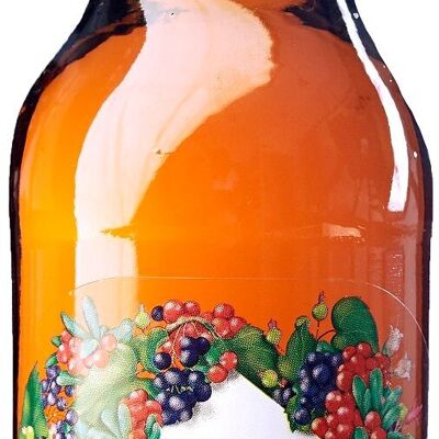 DER GUTE CIDER WILD BERRY 33 CL BOX 24 TOPF