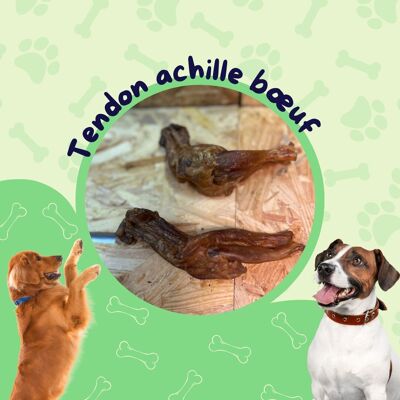 Tendon achille  Boeuf sachet 1kg / Friandise chien