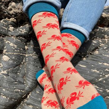 Chaussettes mi-mollet homme coton bio - CRABS - cuivre 2