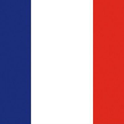 Metallplakette mit französischer Flagge
