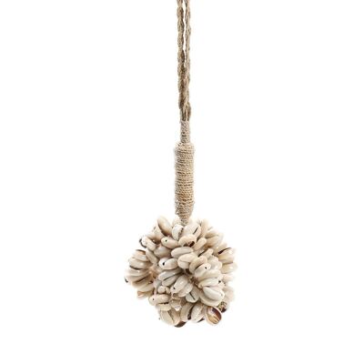 Le gland coquillage cauris de la porte - Naturel
