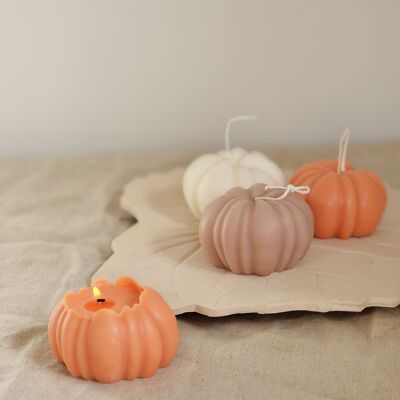 Decorative  Pumpkin candle.