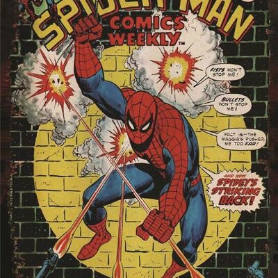 Placa de metal Spider-Man Cómics