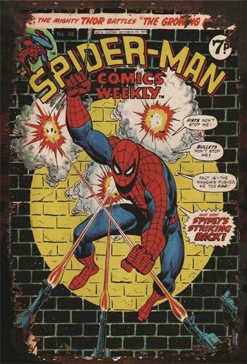 Plaque metal Spider-Man Comics 2