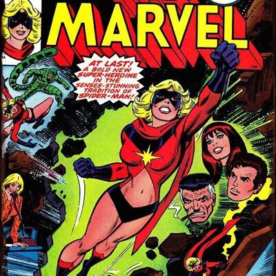 Plaque metal Miss Marvel
