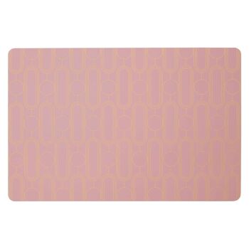 4pc Frosted Deco Pink Placemats 1