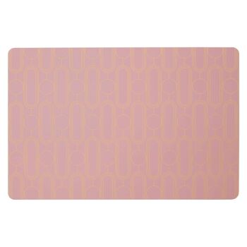 4pc Frosted Deco Pink Placemats 2