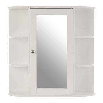 6 Shelves / Mirrored Door Bathroom Cabinet 1