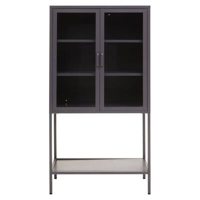 Acier Two Door Grey Cabinet  with Shelf